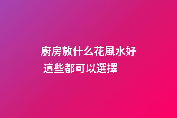 廚房放什么花風水好 這些都可以選擇